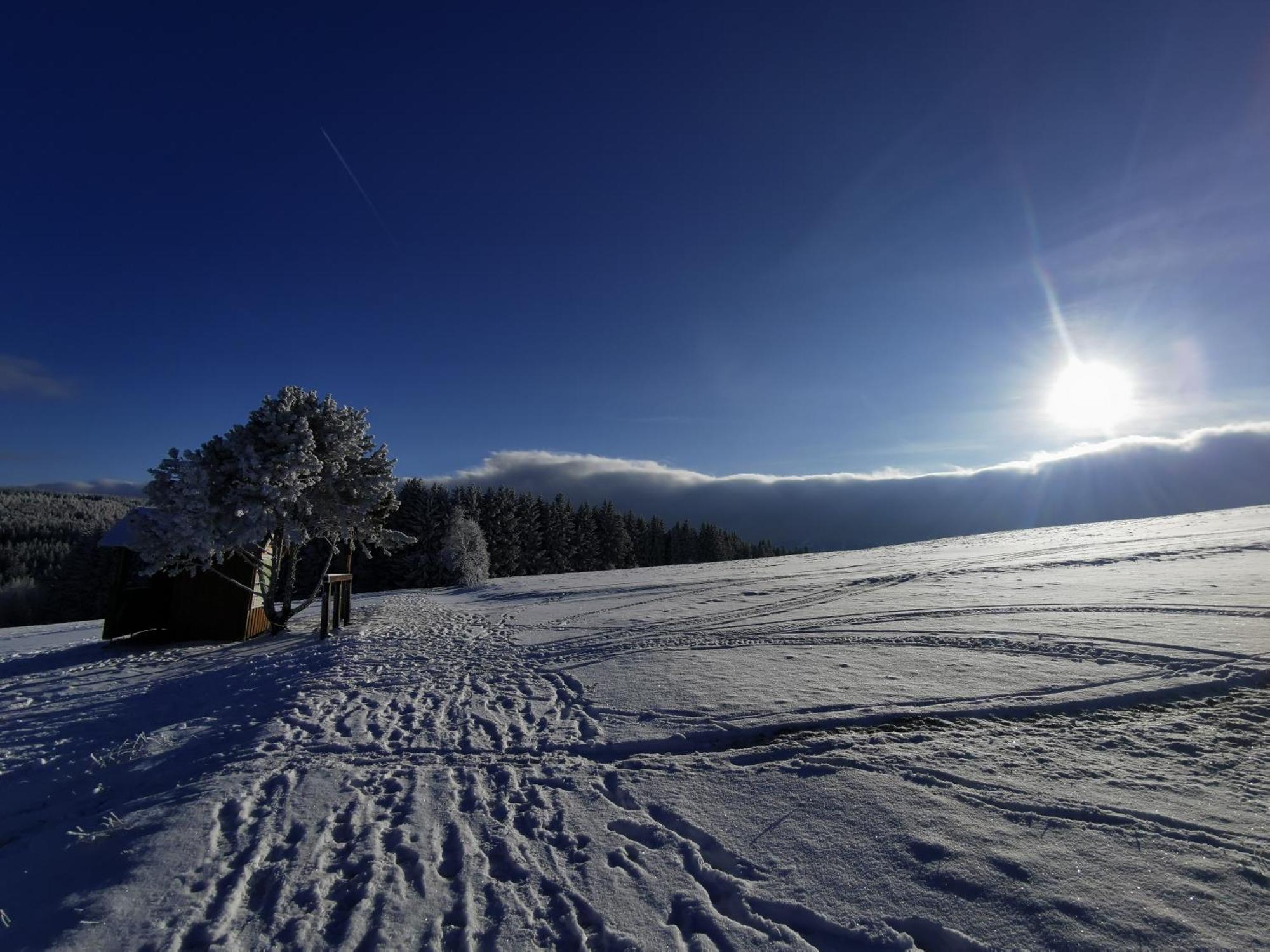 Berghaus Am Felsbruch Oberwiesenthal Ot Hammerunterwiesenthal Exterior foto